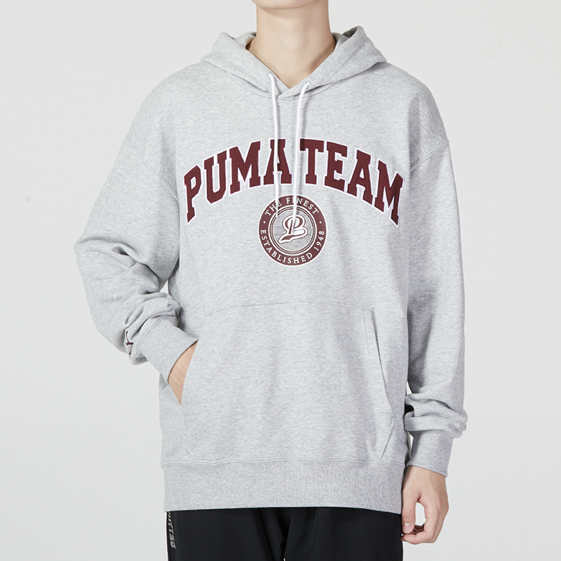 PUMA Team Hoodie 'Grey' 539274-04