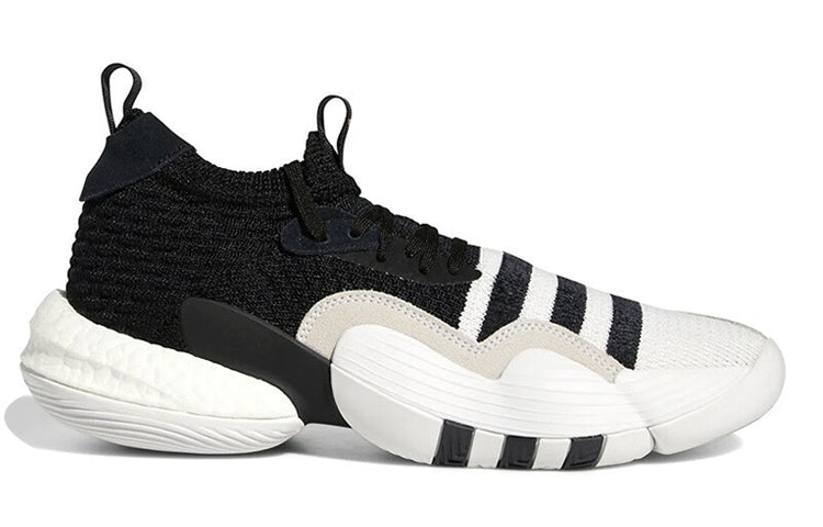 adidas Trae Young 2.0 Basketball Shoes 'Cloud White / Core Black' H06477