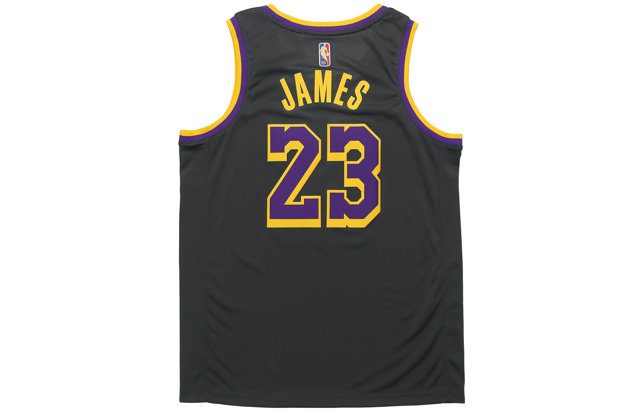 Nike NBA LeBron James Los Angeles Lakers 2020/21 Fan Edition Jersey #23 CN9929-013