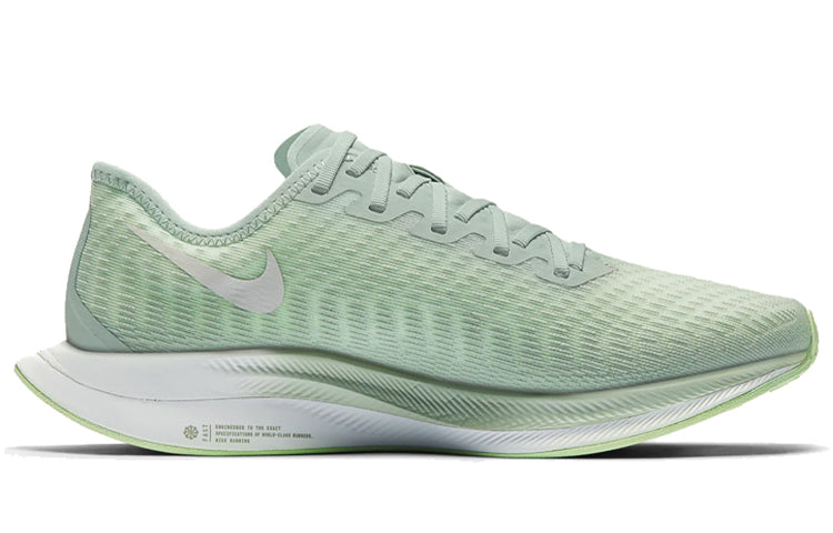 (WMNS) Nike Zoom Pegasus Turbo 2 AT8242-301