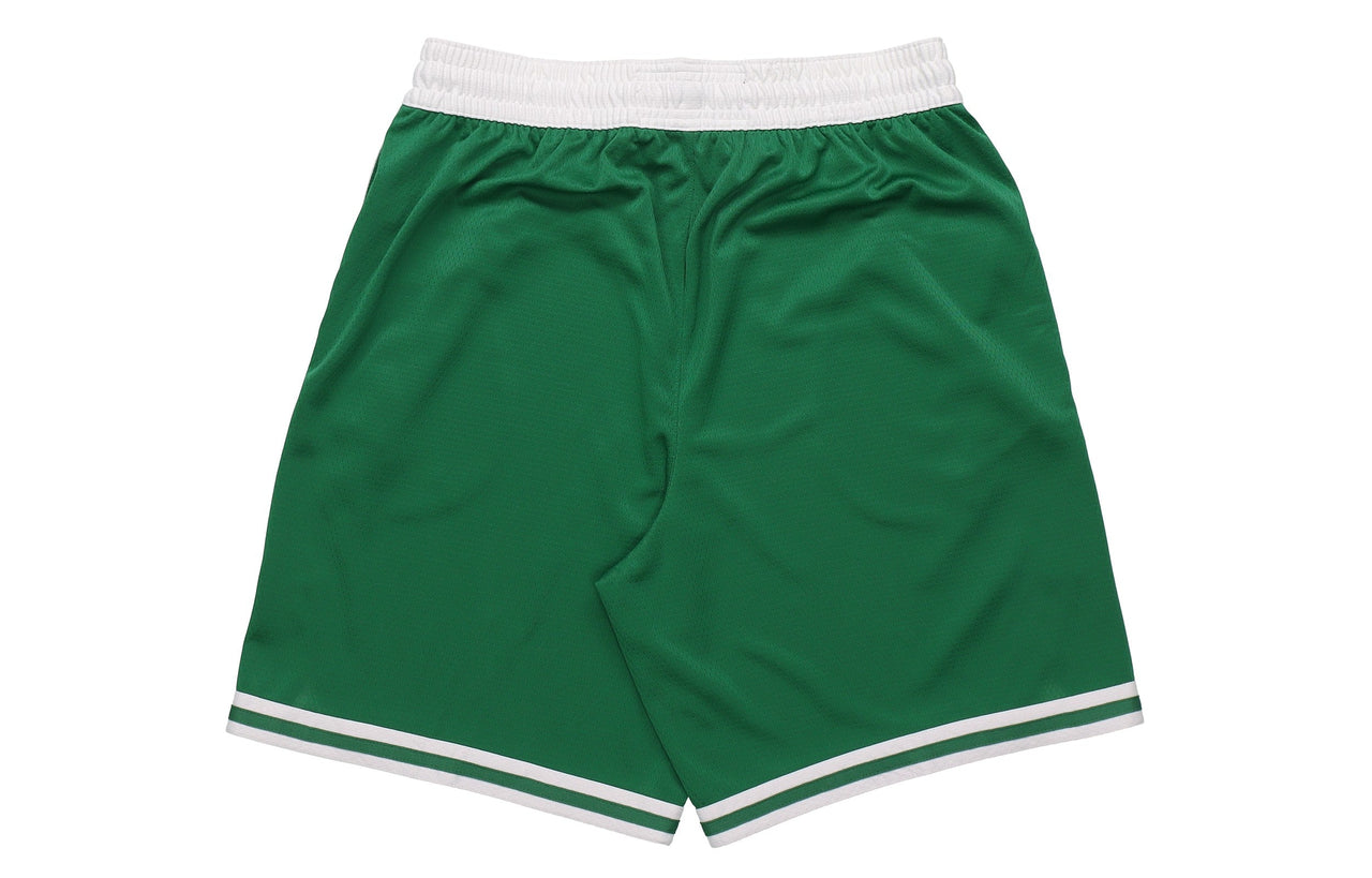 Nike Boston Celtics Icon Edition Swingman SW Fan Edition Celtics Team limited Basketball Shorts Green AJ5587-312