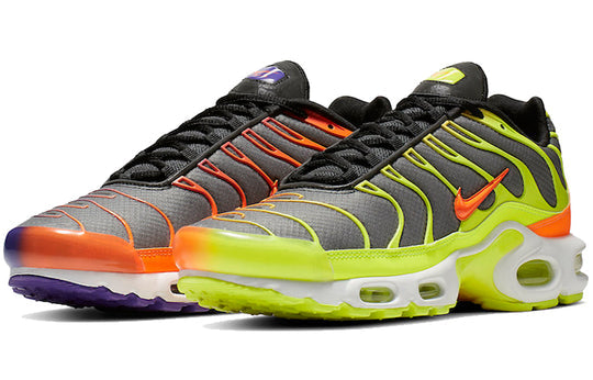 Nike Air Max Plus 'Color Flip' CI5924-061