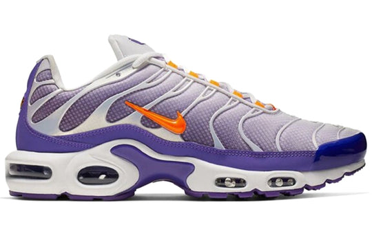 Nike Air Max Plus 'Color Flip' CI5924-531