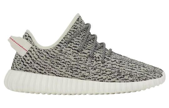 Yeezy Boost 350 'Turtle Dove' AQ4832