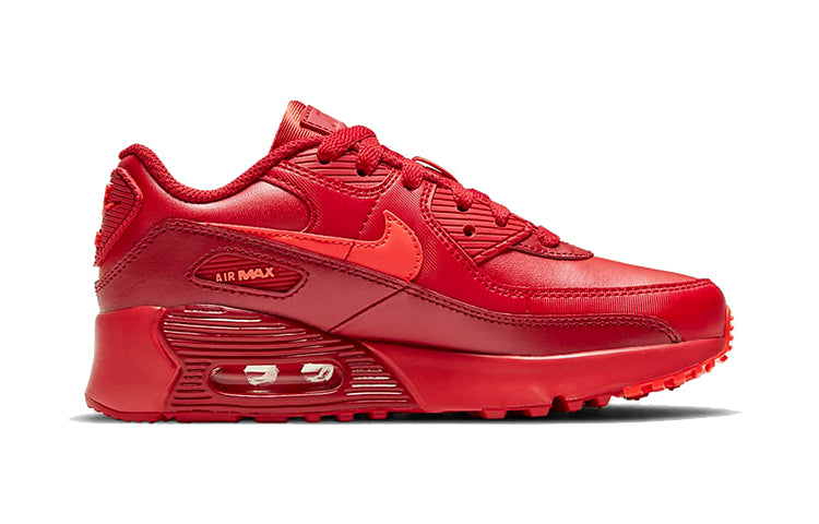 (PS) Nike Air Max 90 'City Special - Chicago' DH0150-600