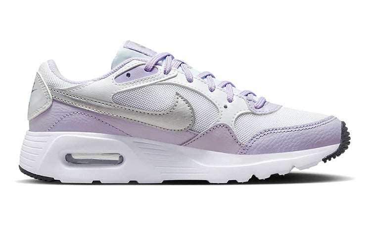 (GS) Nike Air Max SC 'Violet Frost Metallic Silver' CZ5358-113