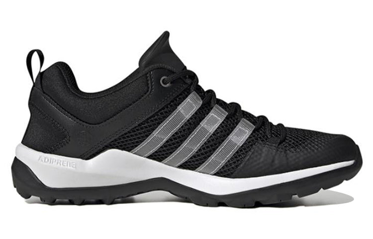 adidas Terrex Daroga Plus Heat.Rdy 'Black' HP8634