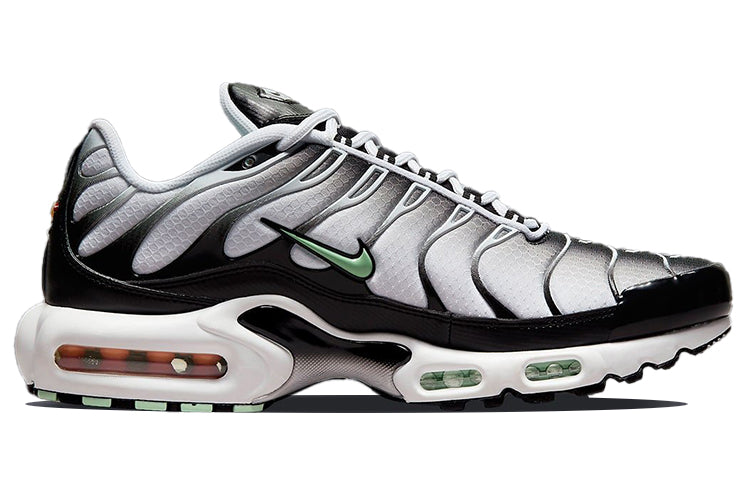 Nike Air Max Plus 'Seafoam' DH4776-100