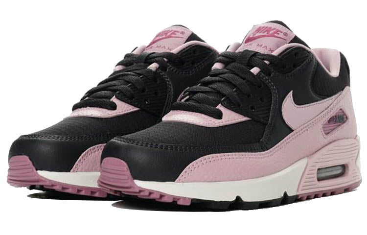 (WMNS) Nike Air Max 90 'Plum Chalk' 325213-059