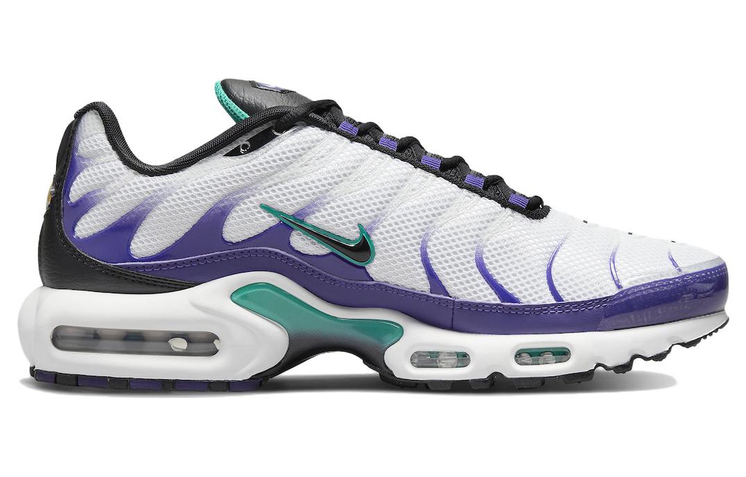 Nike Air Max Plus 'Grape' DM0032-100