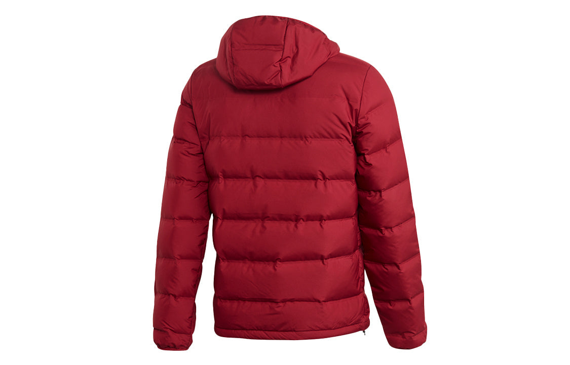 adidas Helionic Ho Jkt Outdoor Slim Fit hooded down Jacket Wine Red DZ1426