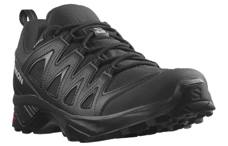 Salomon X Braze GTX 471804 / L47180400