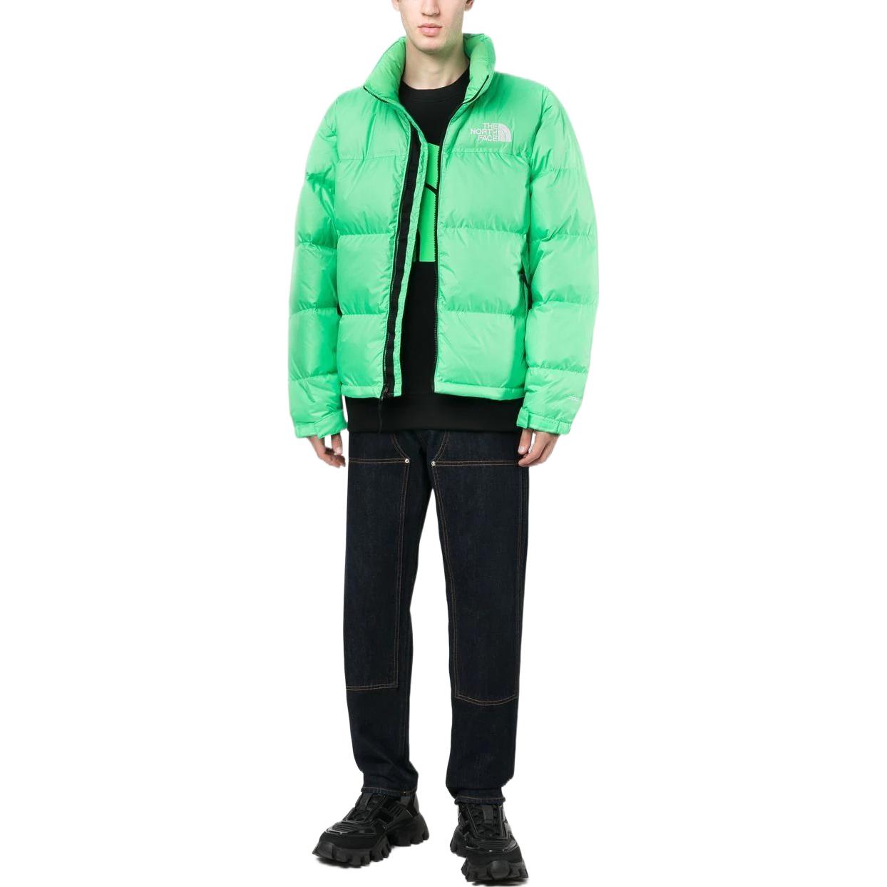 THE NORTH FACE 1996 Nuptse Jacket 700 NF0A3C8D-8YK