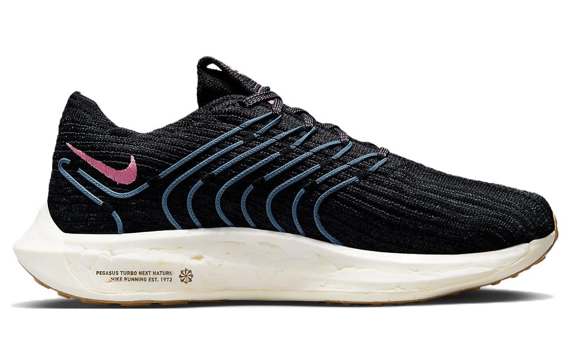 (WMNS) Nike Zoom Pegasus Turbo Next Nature 'Black Noise Aqua' DM3414-004