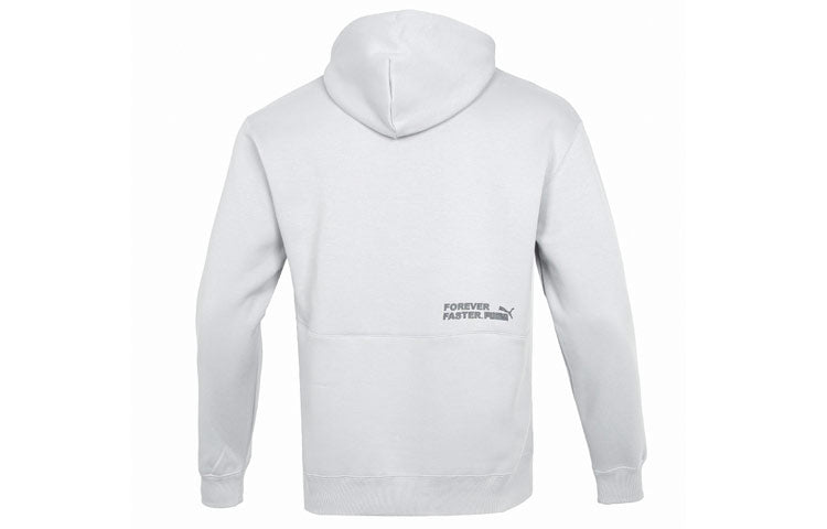 PUMA Small Logo Relaxed Logo Hoodie 'Grey' 673624-19