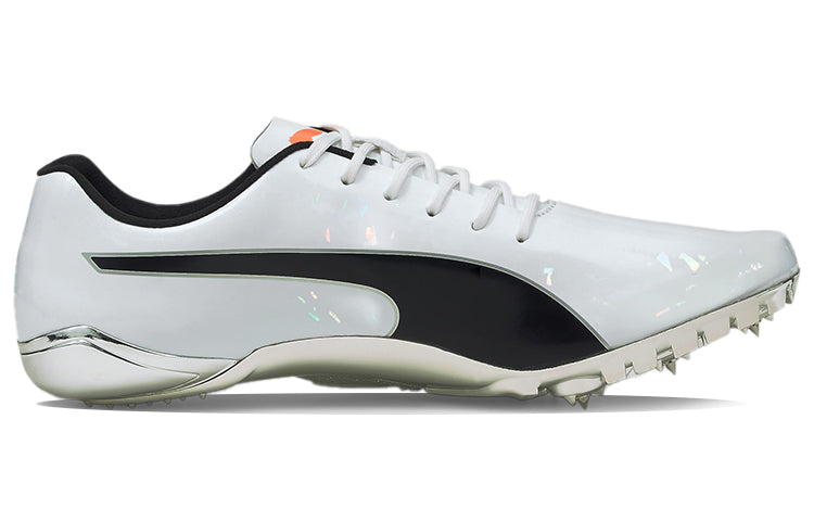 PUMA evoSPEED Electric 10 'Grey' 194475-01