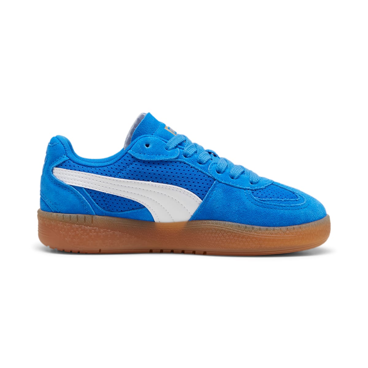 (WMNS) Puma Palermo Lamoda Vintage 'Hyperlink Blue Gum' 398824-02