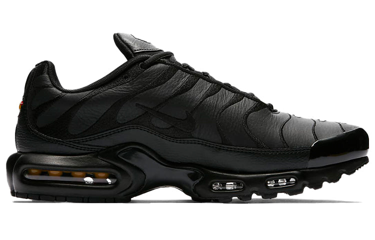 Nike Air Max Plus TN 'Triple Black' AJ2029-001