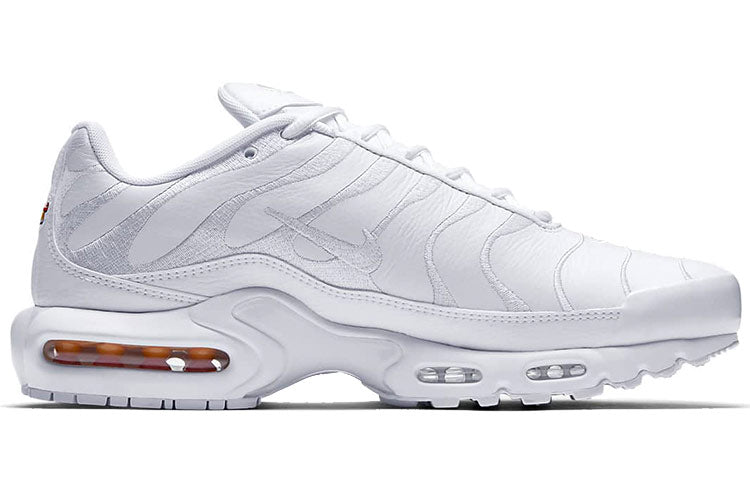 Nike Air Max Plus TN 'Triple White' AJ2029-100
