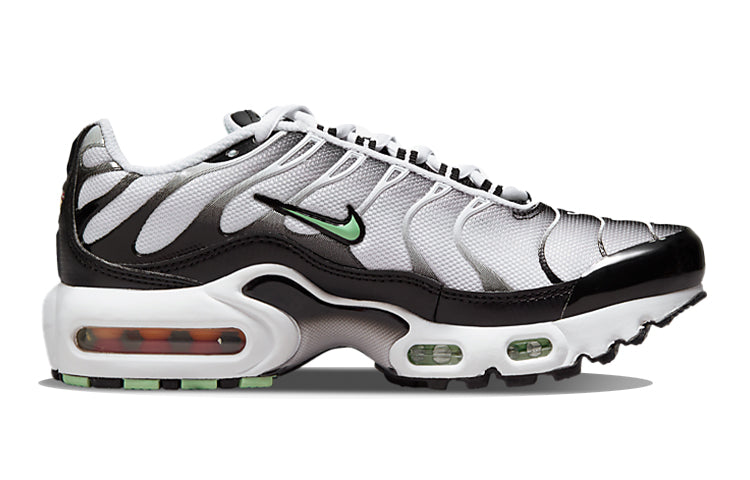 (GS) Nike Air Max Plus 'White Reflect Silver Fresh Mint' CD0609-106