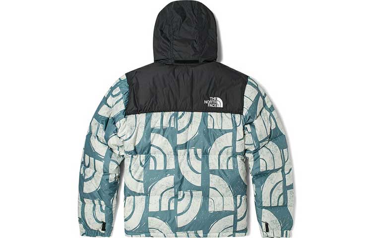 THE NORTH FACE 1996 Retro Nuptse 700 NF0A5IX4-537