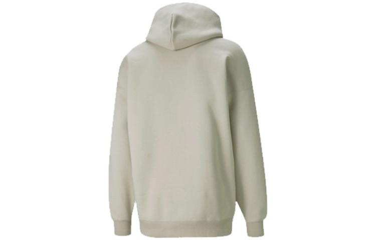 PUMA Small Logo Hoodie 'Grey' 534364-41