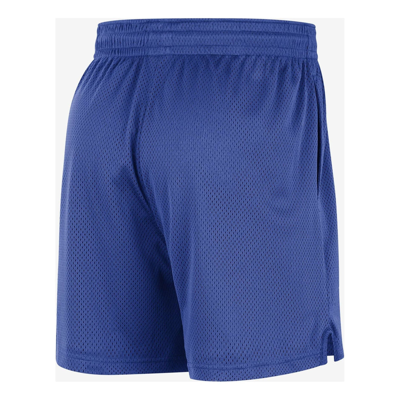 Nike NBA Mesh Shorts 'Dallas Mavericks' DX9704-480