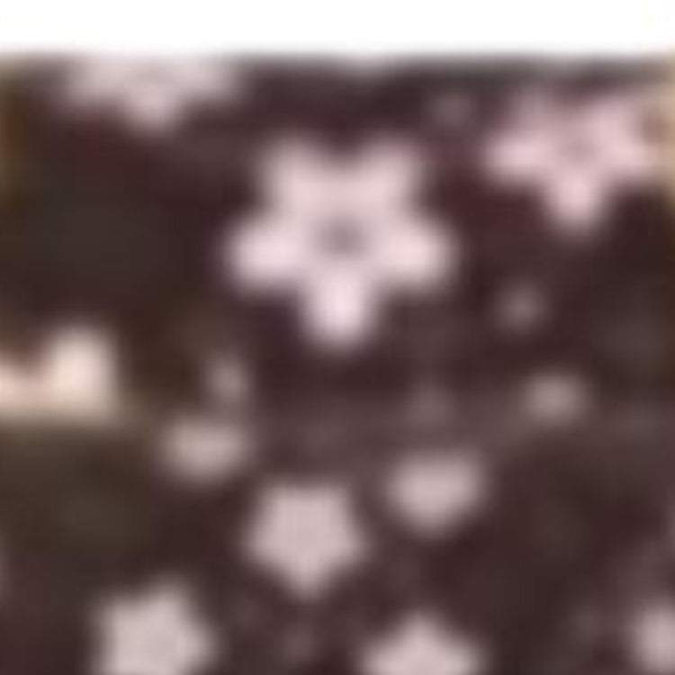 LOUIS VUITTON X Takashi Murakami Papillon Sakura Brown