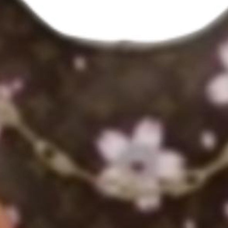 LOUIS VUITTON Takashi Murakami Collaboration Boulogne Leather Croissant Bag Handbag, Shoulder Bag Women's Brown