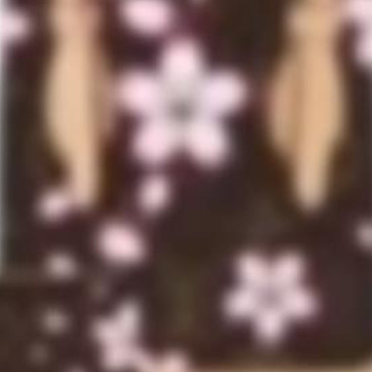 LOUIS VUITTON X Takashi Murakami Nano Bucket Sakura Brown