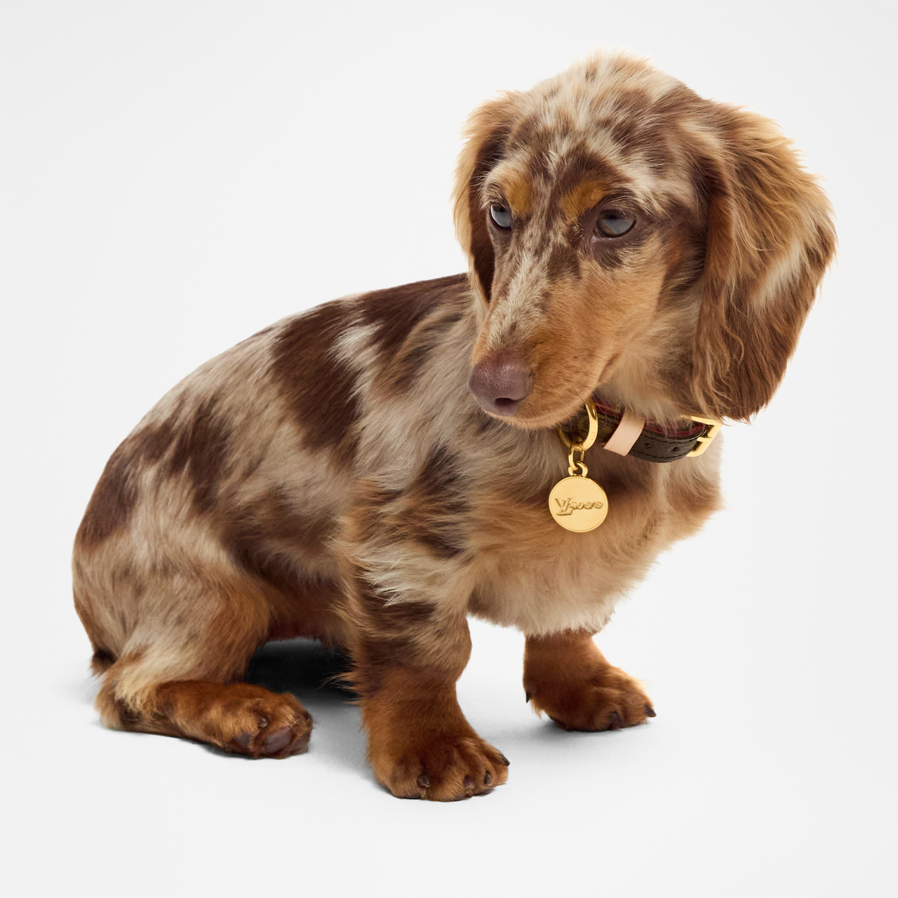 LOUIS VUITTON Dog / Cat Collars