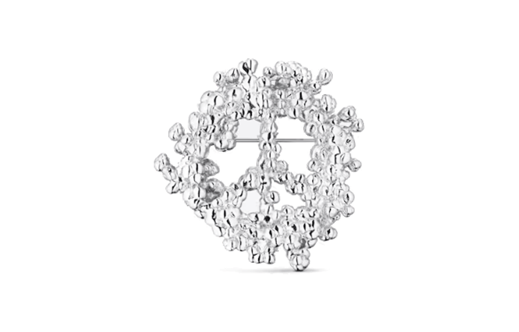 DIOR X Denim Tears Brooch