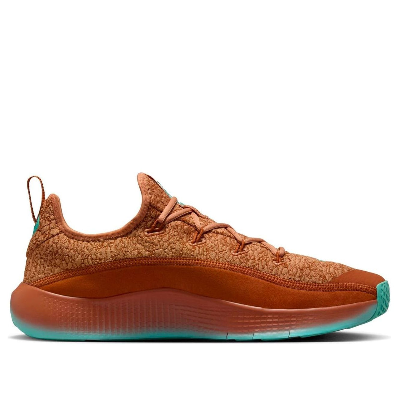 Nike LeBron TR 1 'Amber Brown Green Frost' FJ6151-200
