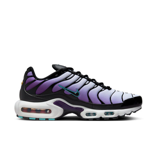 Nike Air Max Plus 'Reverse Grape' FQ2415-500