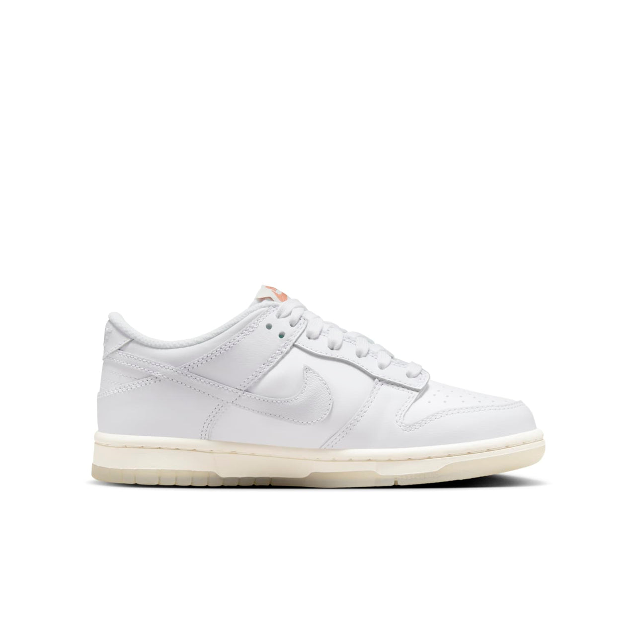 (GS) Nike Dunk Low 'Rainbow Swoosh' FN4861-100