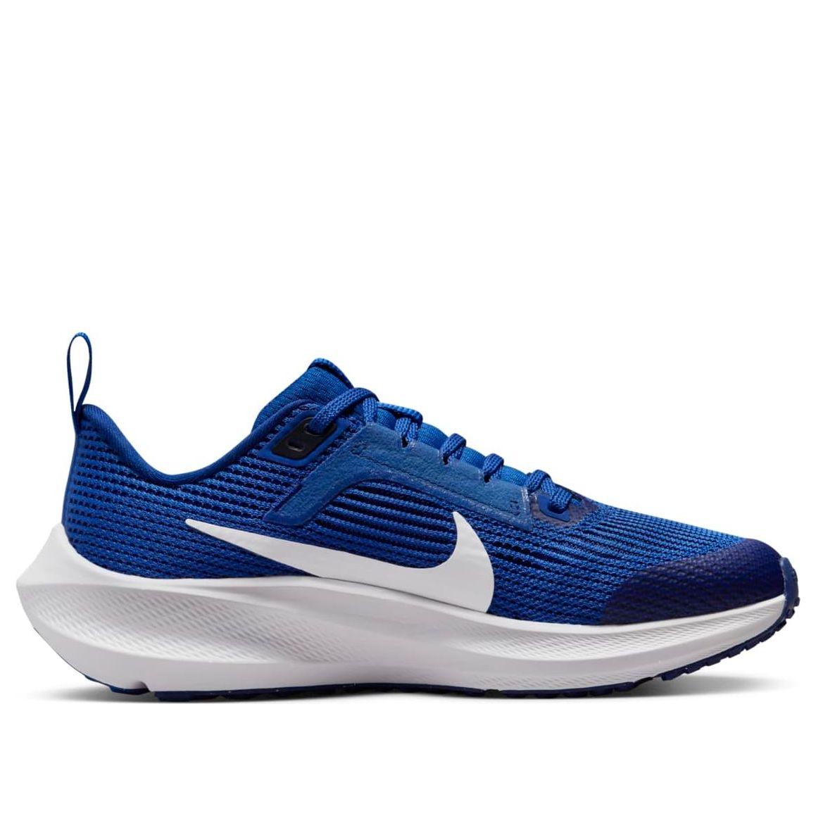 (GS) Nike Air Zoom Pegasus 40 'Game Royal' DX2498-400