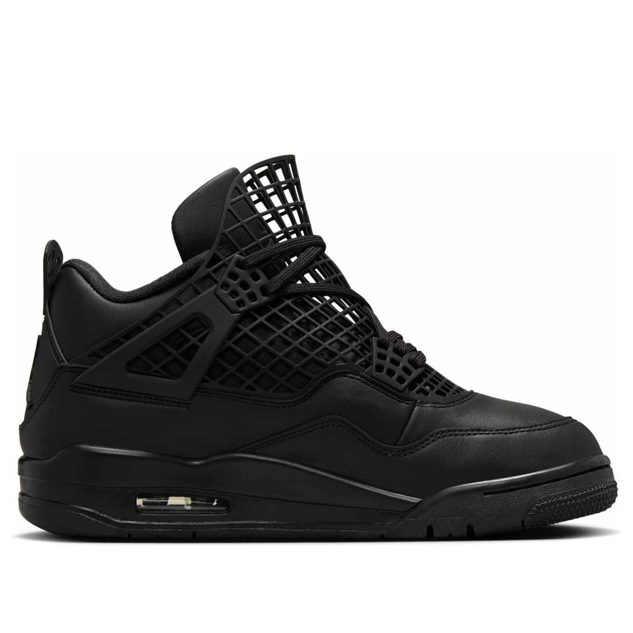 (WMNS) Air Jordan 4 Retro 'Net Black' FN7251-001