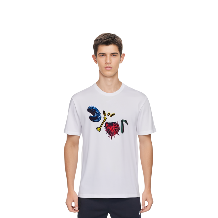 DIOR X Cactus Jack Oversized T shirt