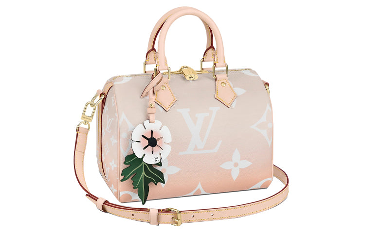 LOUIS VUITTON Speedy Bandouliere Gradient Pastel 25 Mist Gray