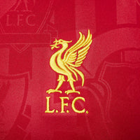 Nike Liverpool FC Academy Pro Dri-FIT Soccer Pre-Match T-shirt 'Red' FN9653-688