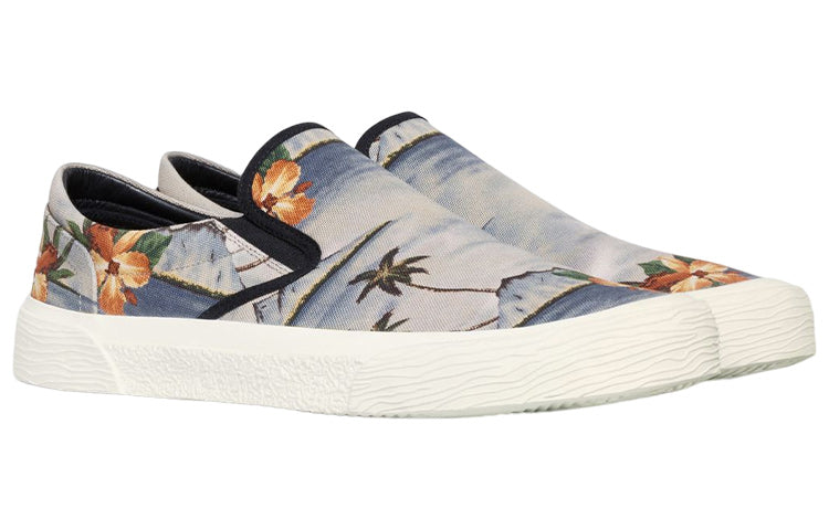 CELINE Low Top Stylish Skateboarding Shoes Men's Blue Beige