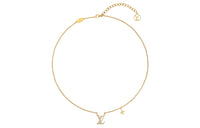 LOUIS VUITTON Lv Iconic Necklace
