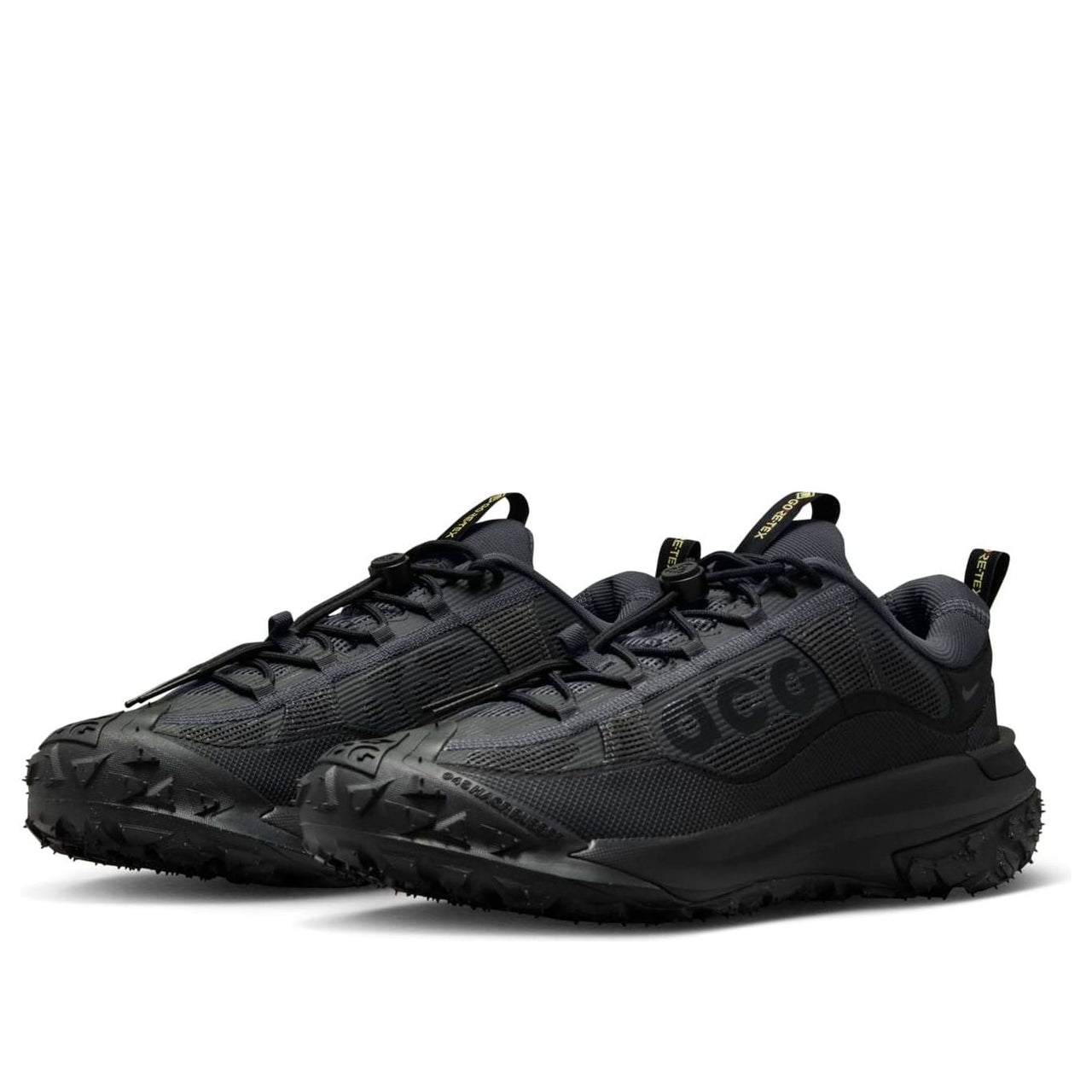 Nike ACG Mountain Fly 2 Low Gore-Tex 'Dark Smoke Grey' HF6245-001