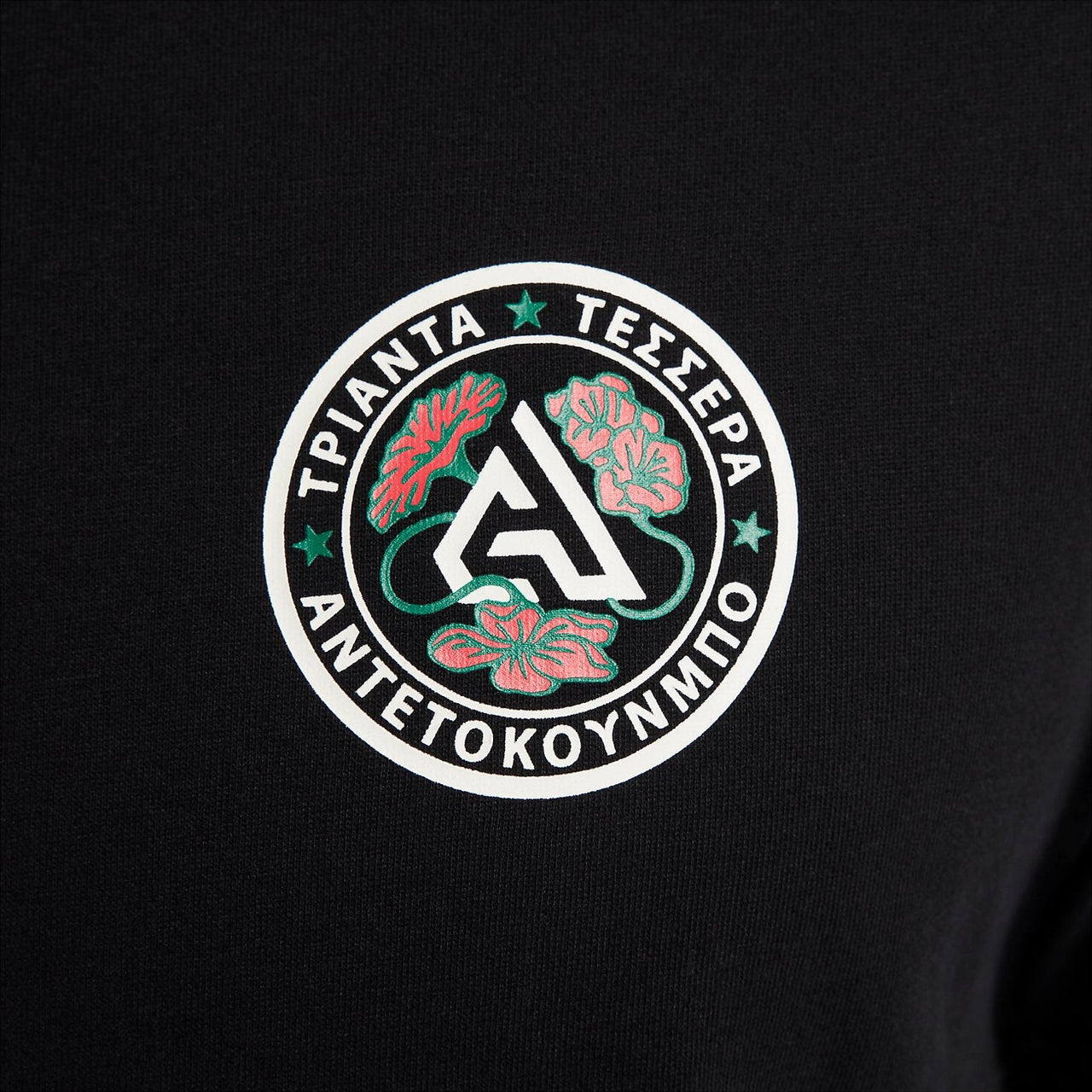 Nike Giannis Dri-FIT Basketball T-Shirt 'Black' FJ2317-010