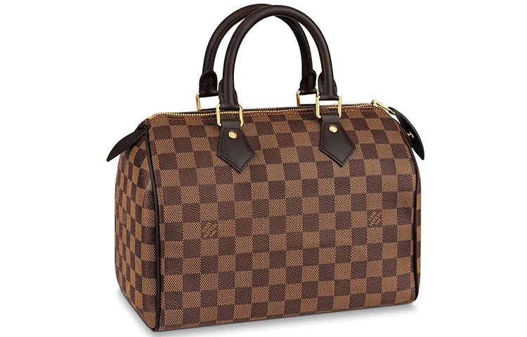 LOUIS VUITTON 2008 Speedy 25 Handbag