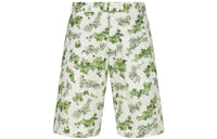 DIOR Quarterly New Products Casual Shorts Men Green