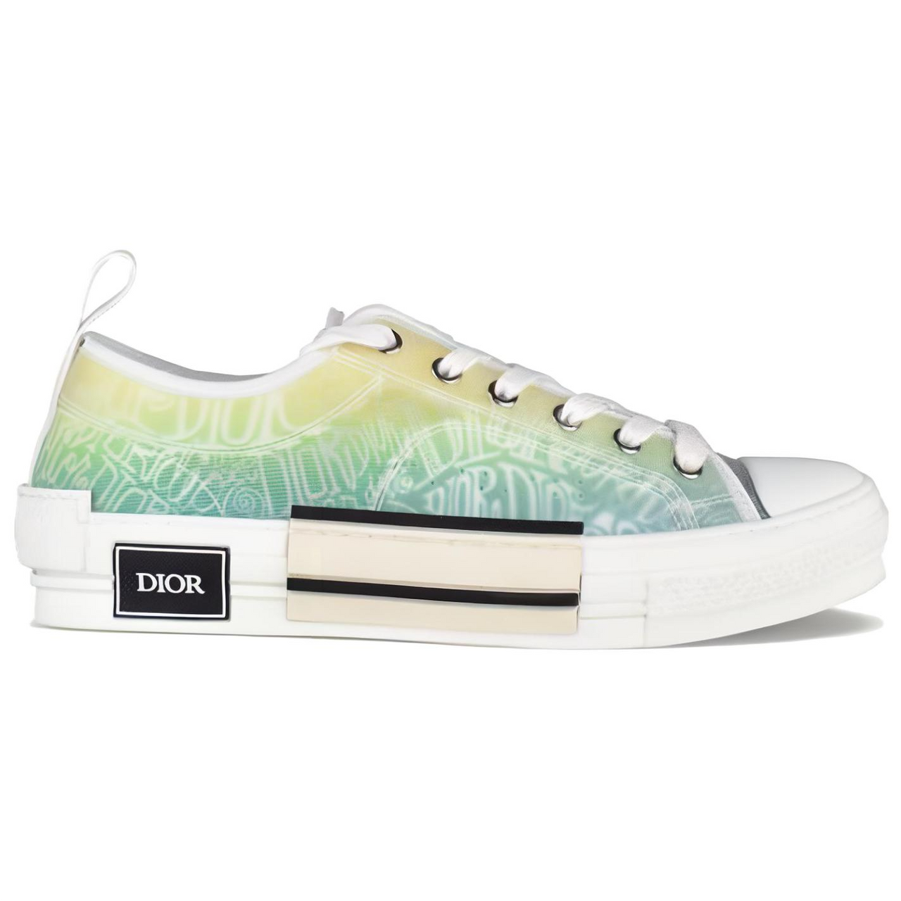 DIOR And Shawn B23 Low Top