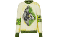 DIOR Quarterly New Products Sweaters Men Green