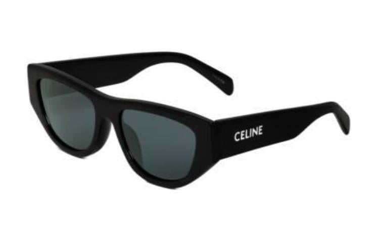 CELINE Monochroms 06 Sunglasses In Acetate