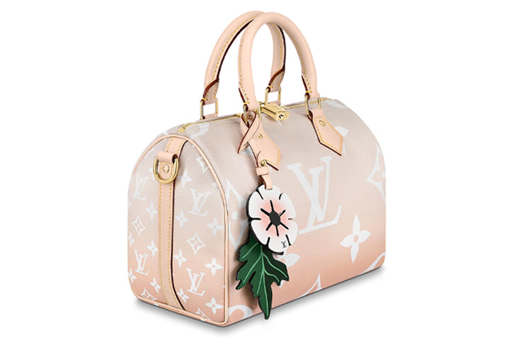 LOUIS VUITTON Speedy Bandouliere Gradient Pastel 25 Mist Gray